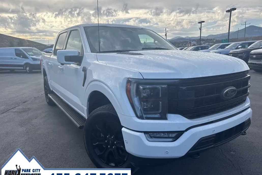 2022 Ford F-150 Platinum photo 1