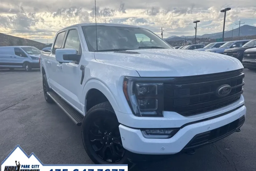 2022 Ford F-150 Platinum photo 1