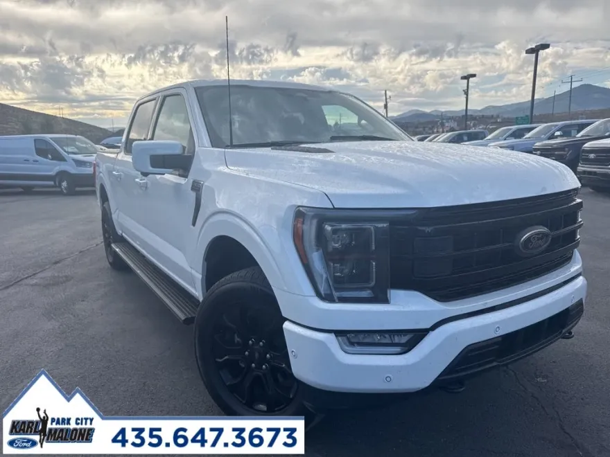 2022 Ford F-150 Platinum photo 1