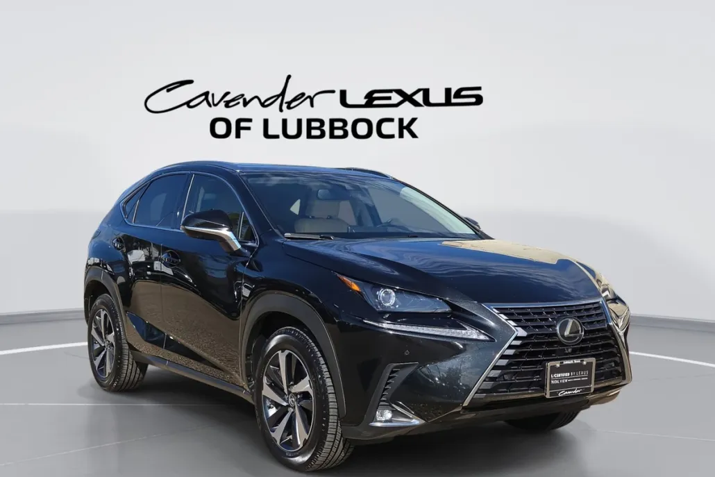2021 Lexus NX 300 Premium photo 1