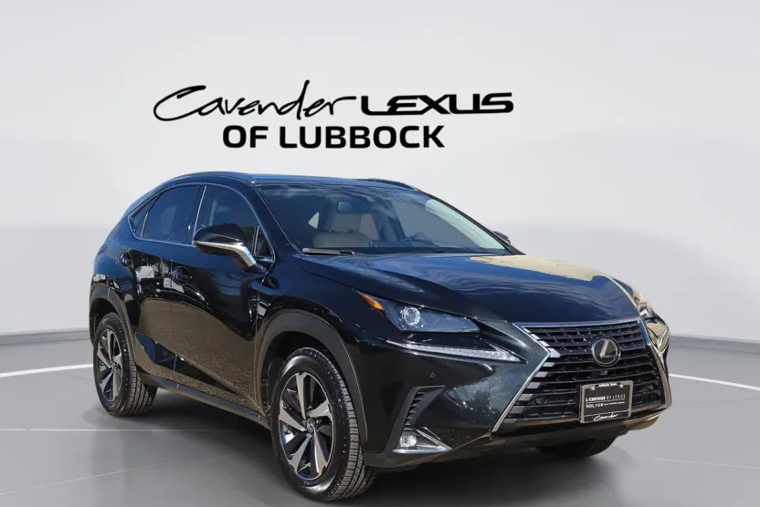2021 Lexus NX 300 Premium photo 1