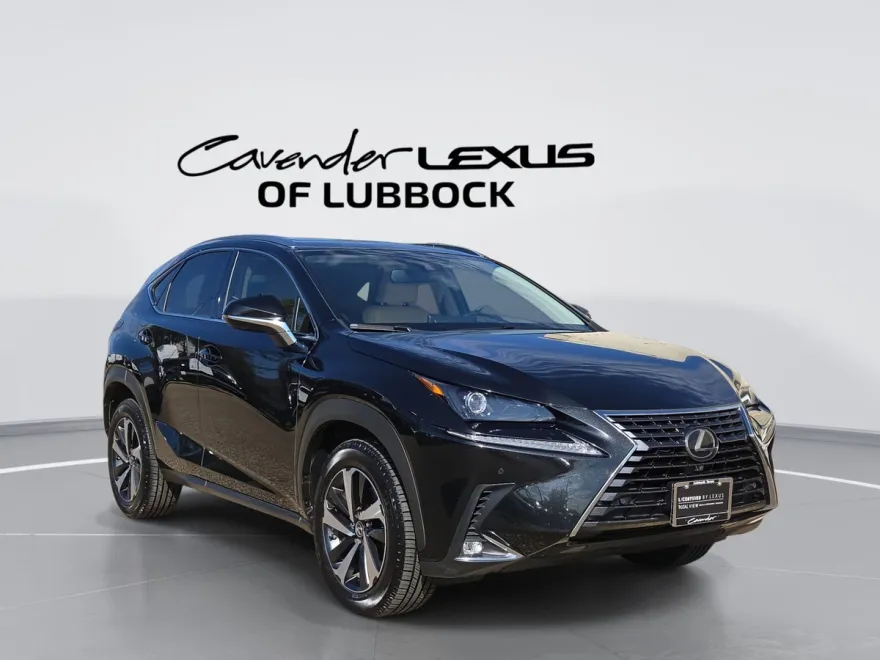 2021 Lexus NX 300 Premium photo 1