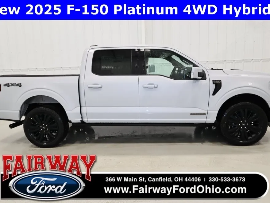 2025 Ford F-150 Platinum photo 1