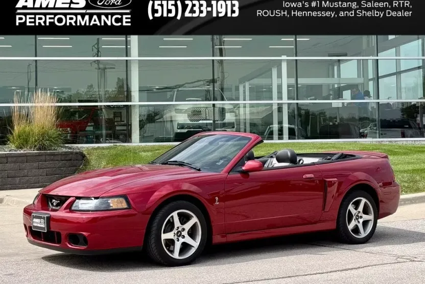 2003 Ford Mustang Cobra photo 1