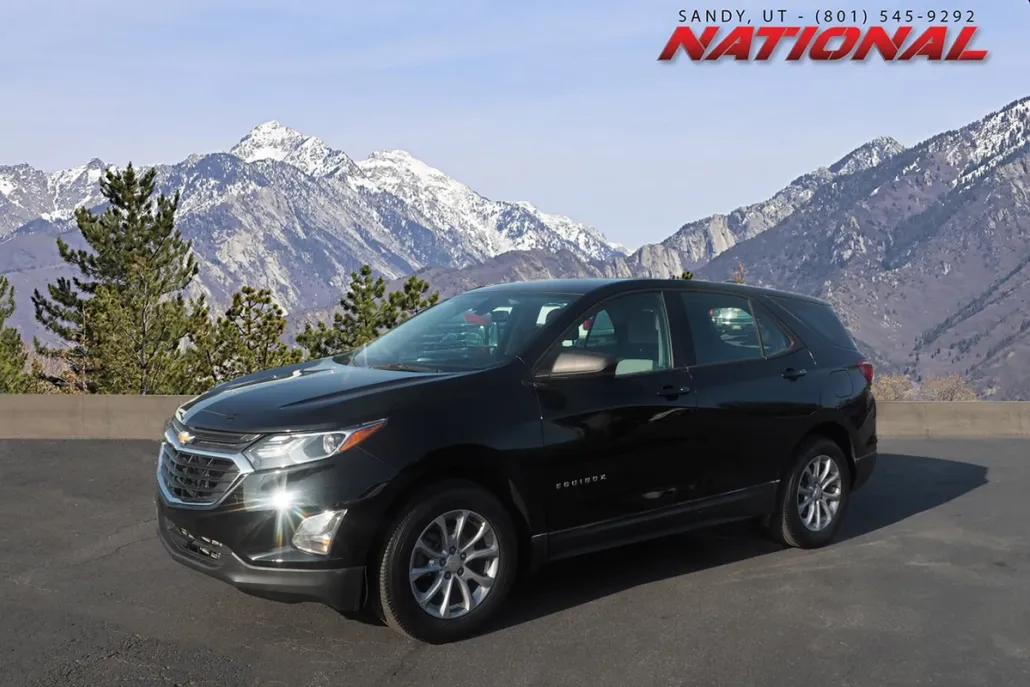 2019 Chevrolet Equinox LS photo 1