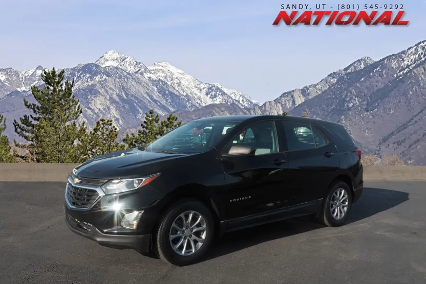 2019 Chevrolet Equinox LS photo 1