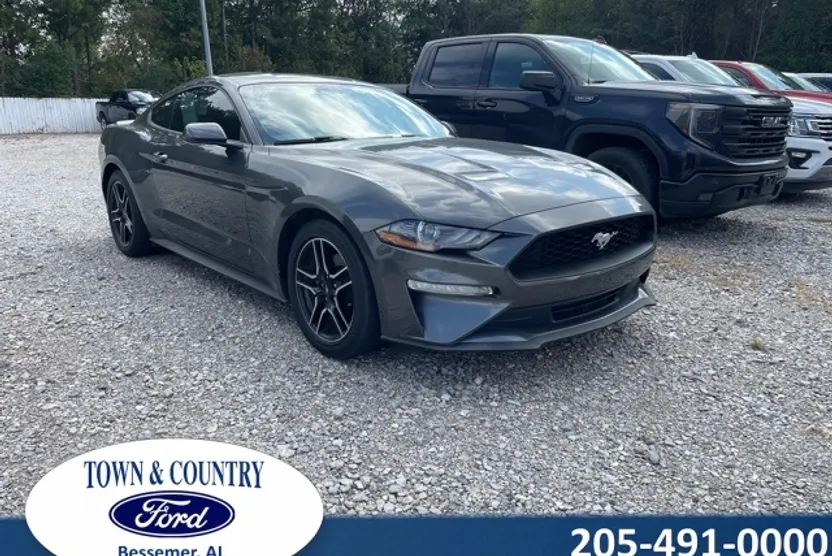 2019 Ford Mustang EcoBoost photo 1