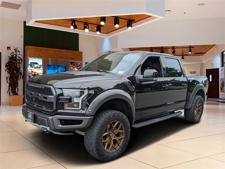 2020 Ford F-150 Raptor photo 1
