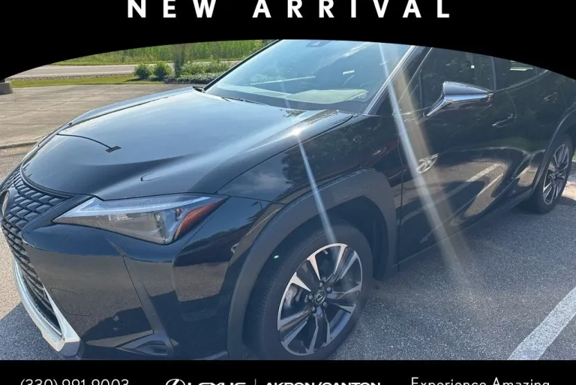 2024 Lexus UX 250h photo 1