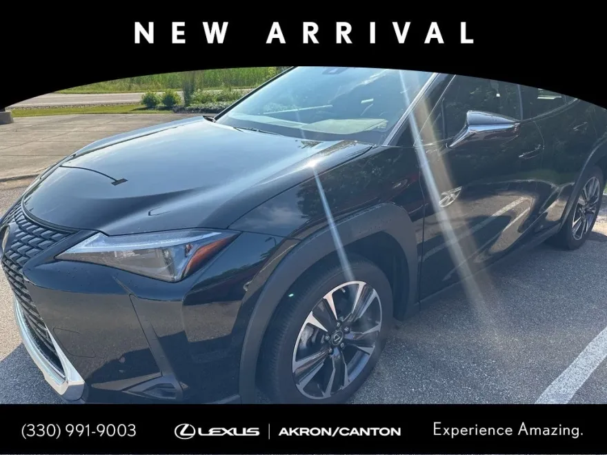 2024 Lexus UX 250h photo 1