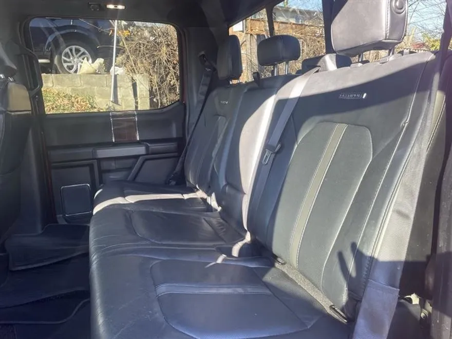 2015 Ford F-150 Platinum photo 18