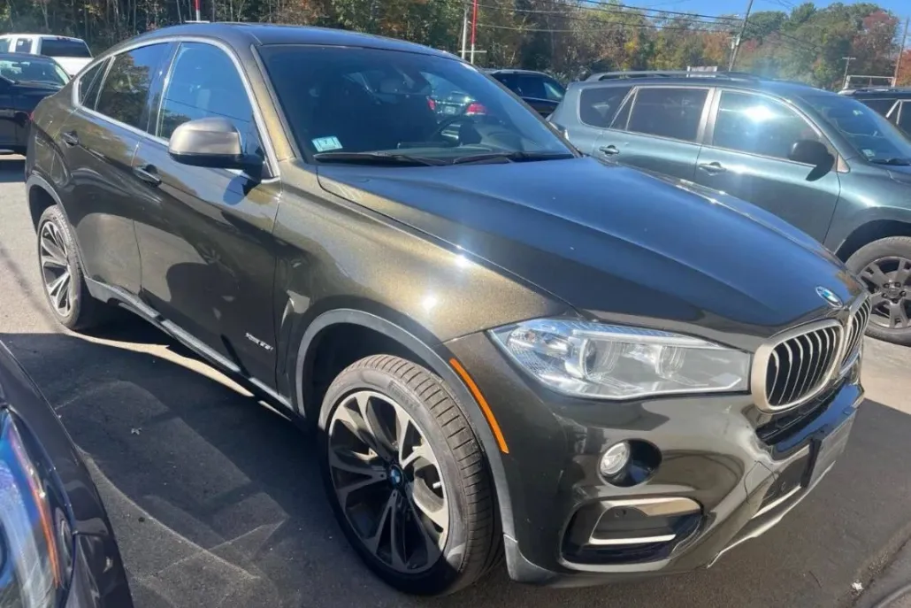 2017 Bmw X6 xDrive35i photo 1