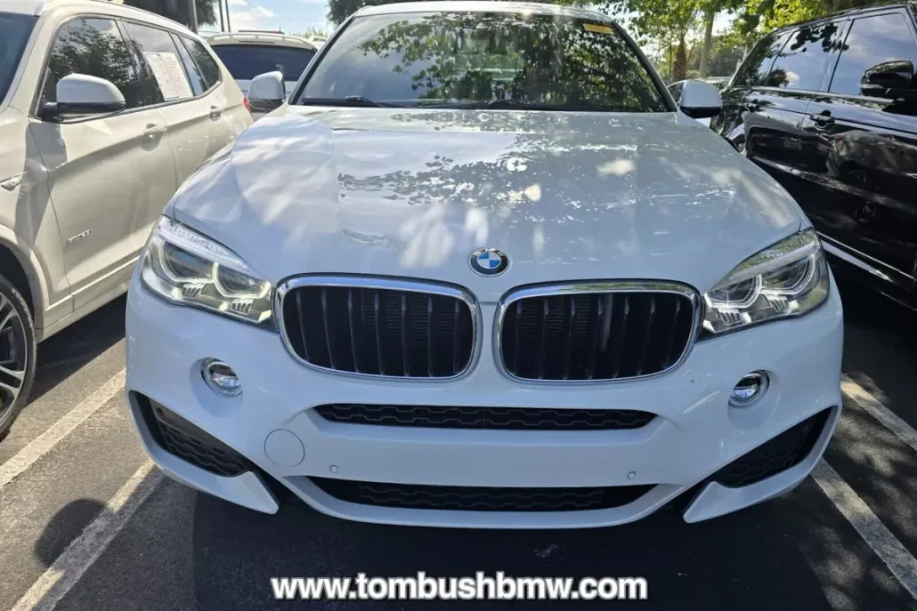 2018 Bmw X6 sDrive35i photo 1