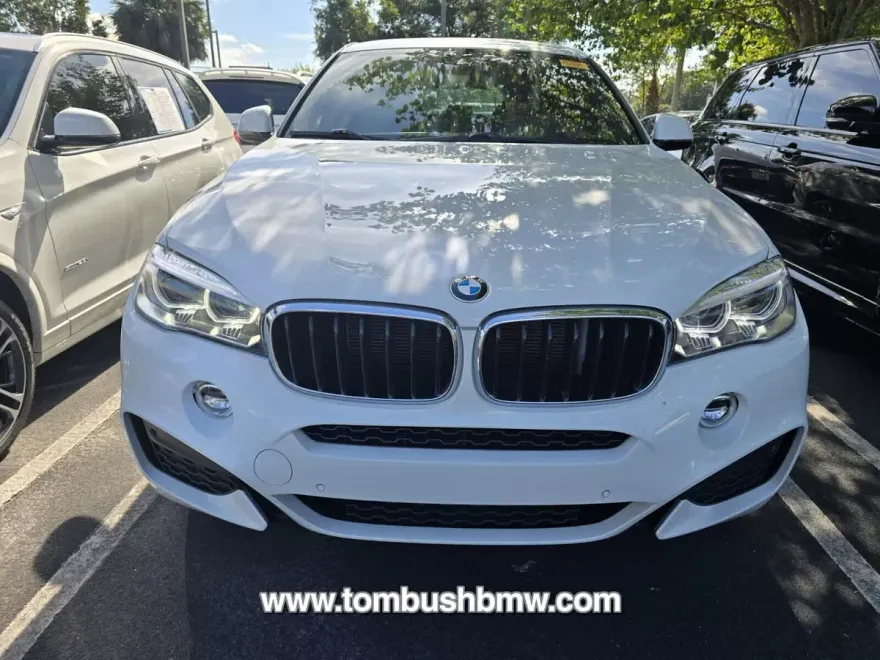 2018 Bmw X6 sDrive35i photo 1