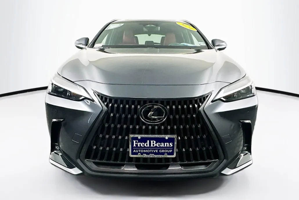2024 Lexus NX 350 Premium photo 1