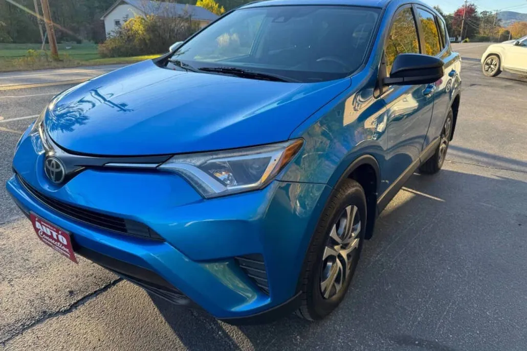 2017 Toyota RAV4 LE photo 1