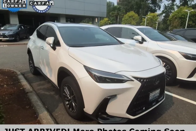 2023 Lexus NX 350h photo 1