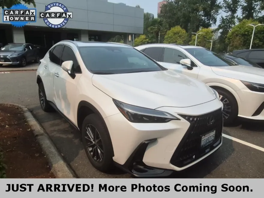 2023 Lexus NX 350h photo 1