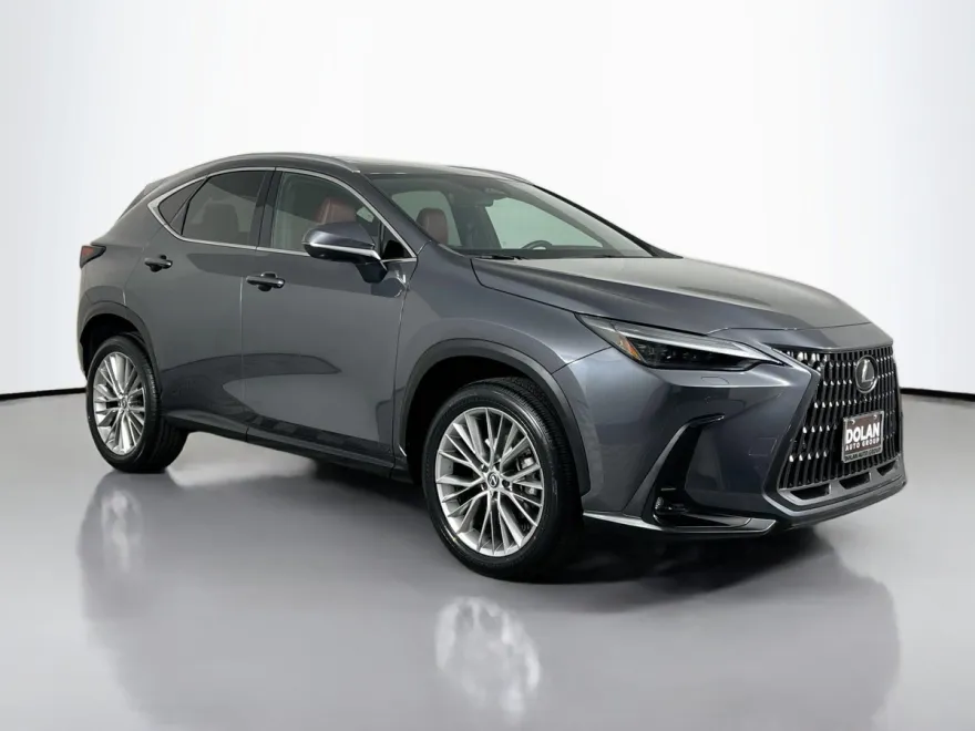 2024 Lexus NX 350 Luxury photo 1