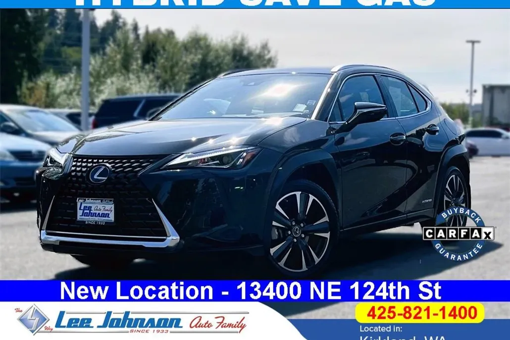 2021 Lexus UX 250h photo 1