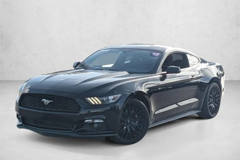2015 Ford Mustang EcoBoost photo 1