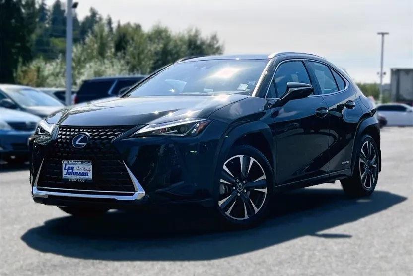 2021 Lexus UX 250h photo 1