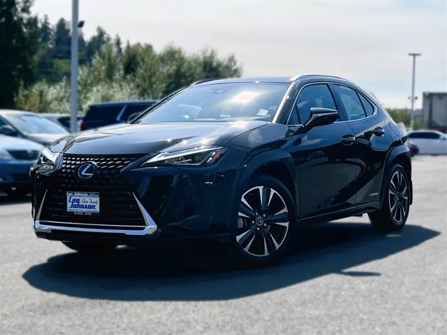 2021 Lexus UX 250h photo 1
