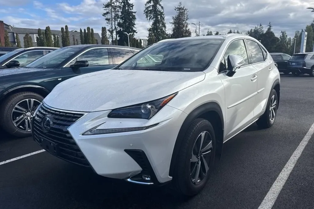 2021 Lexus NX 300h photo 1