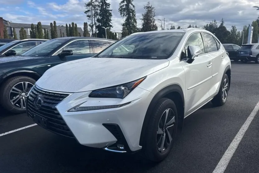 2021 Lexus NX 300h photo 1
