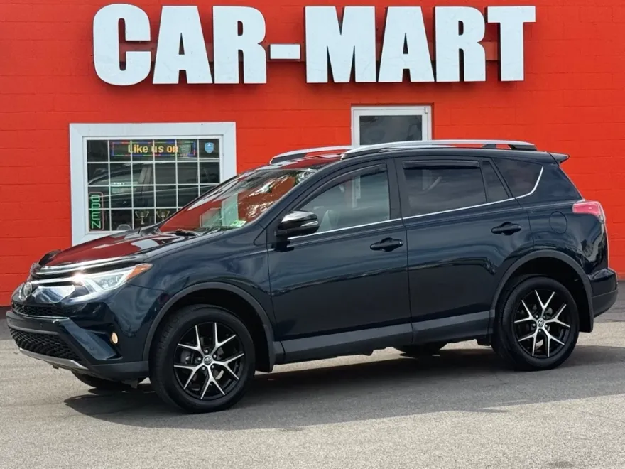 2017 Toyota RAV4 SE photo 1