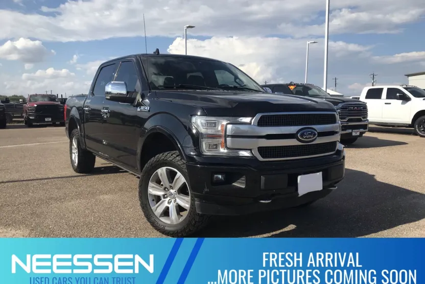 2019 Ford F-150 Platinum photo 1