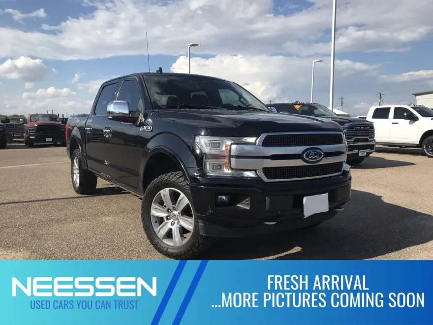 2019 Ford F-150 Platinum photo 1