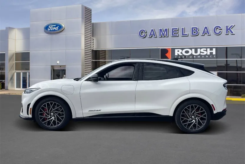 2021 Ford Mustang Mach-E GT photo 1