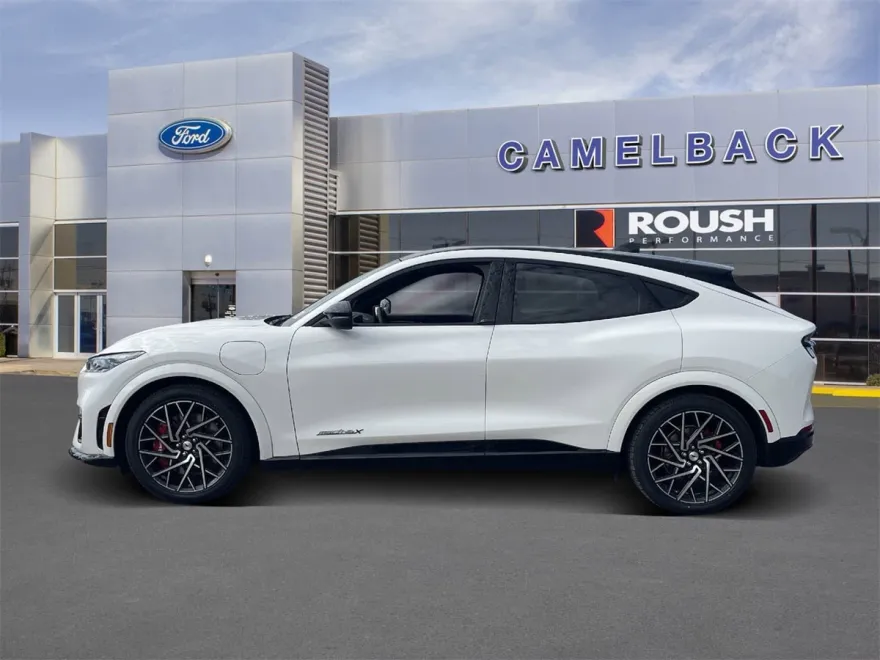 2021 Ford Mustang Mach-E GT photo 1