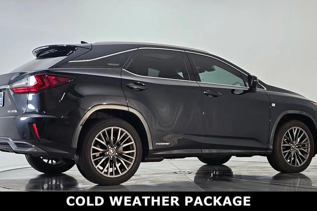 2016 Lexus RX 450h photo 1