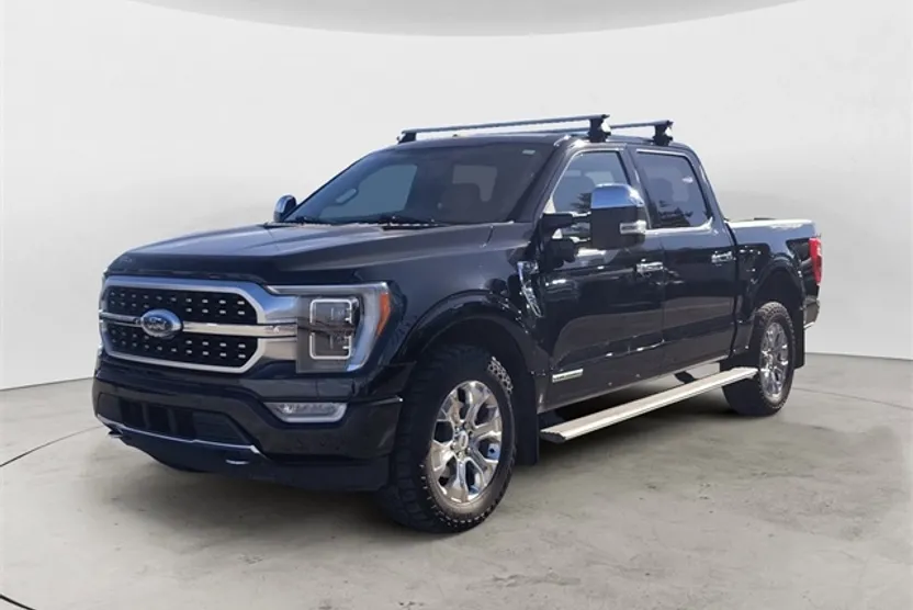 2021 Ford F-150 Platinum photo 1