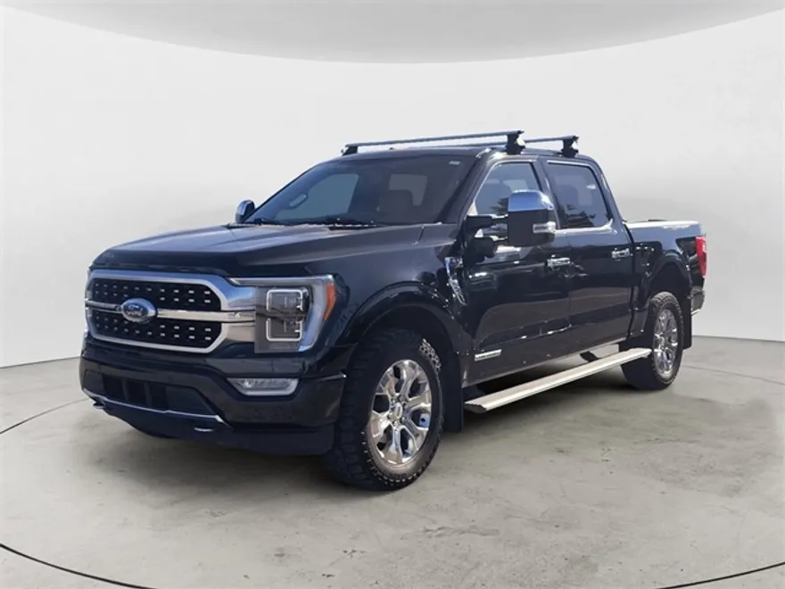 2021 Ford F-150 Platinum photo 1