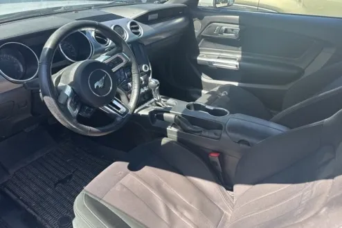 2019 Ford Mustang EcoBoost photo 3