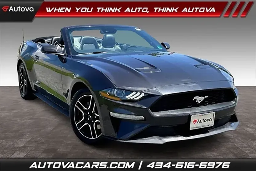 2023 Ford Mustang EcoBoost Premium photo 1
