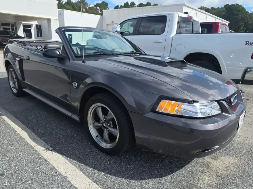 2004 Ford Mustang GT Deluxe photo 1
