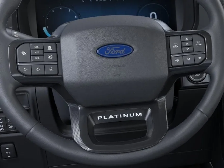 2025 Ford F-150 Platinum photo 12