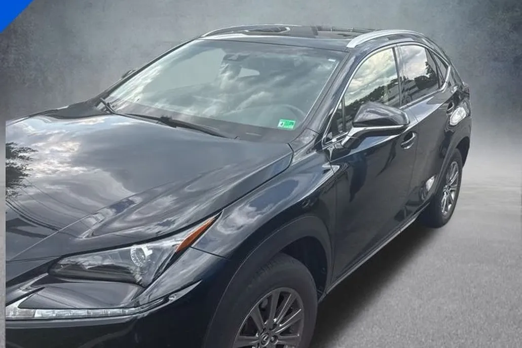 2019 Lexus NX 300 Luxury photo 1
