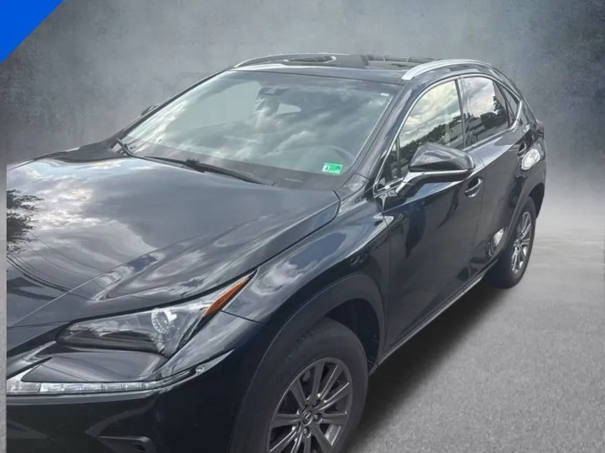 2019 Lexus NX 300 Luxury photo 1