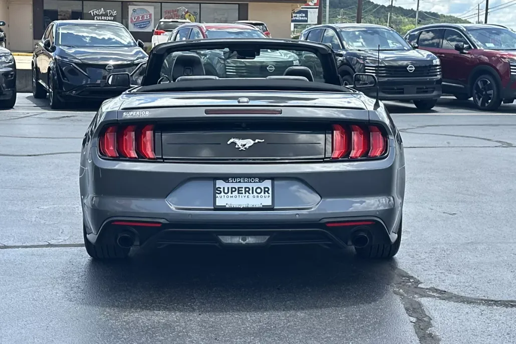 2023 Ford Mustang EcoBoost photo 1