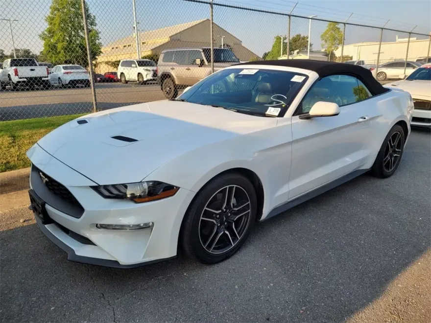 2023 Ford Mustang EcoBoost Premium Convertible photo 1