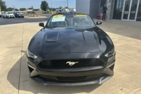 2023 Ford Mustang EcoBoost Premium Convertible photo 2