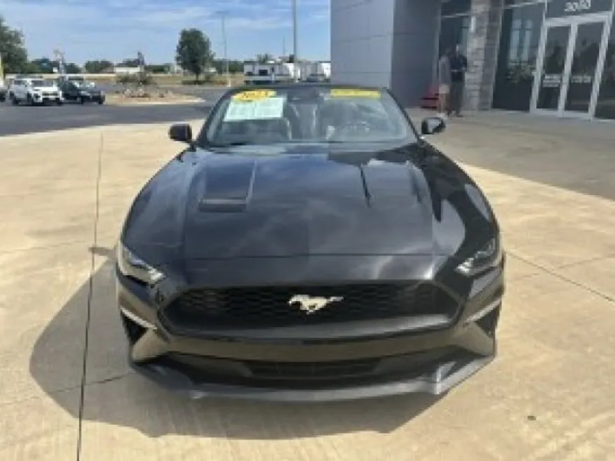 2023 Ford Mustang EcoBoost Premium Convertible photo 2