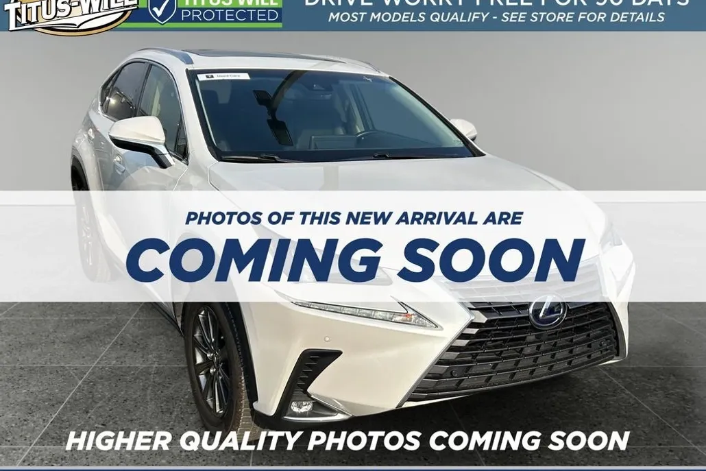 2019 Lexus NX 300h Luxury photo 1