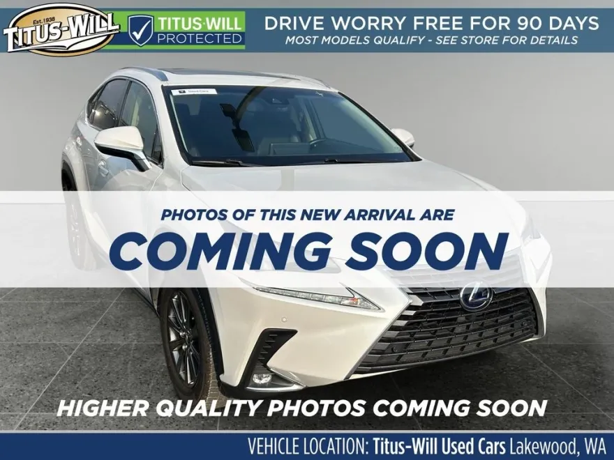 2019 Lexus NX 300h Luxury photo 1
