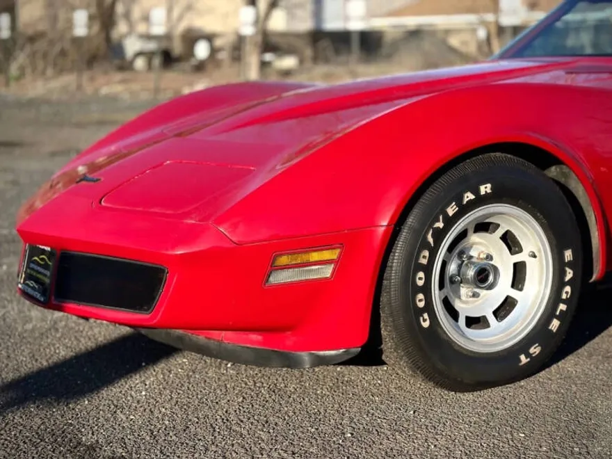 1981 Chevrolet Corvette photo 1